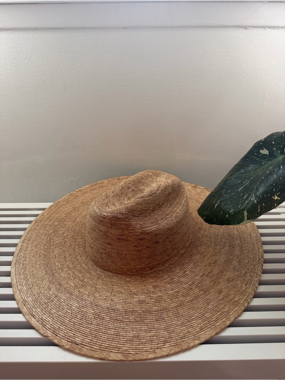 Lack Of Color Wide Brim Straw Hat - Natural - Picture 4 of 6